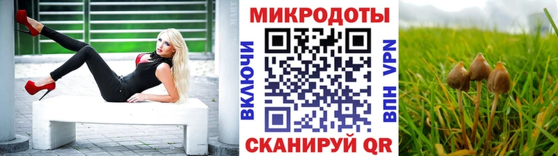 Купить  Новокузнецк  Псилоцибиновые грибы мухоморы 